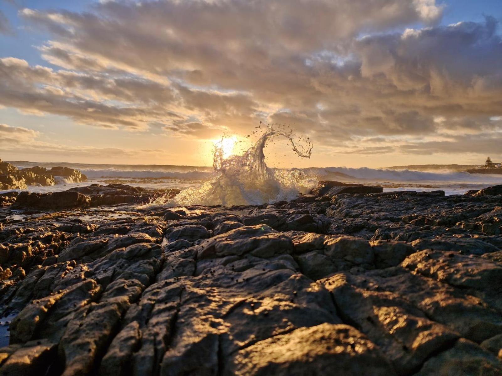 Moondust Near The Ocean, Food And Wine Villa Hermanus Dış mekan fotoğraf