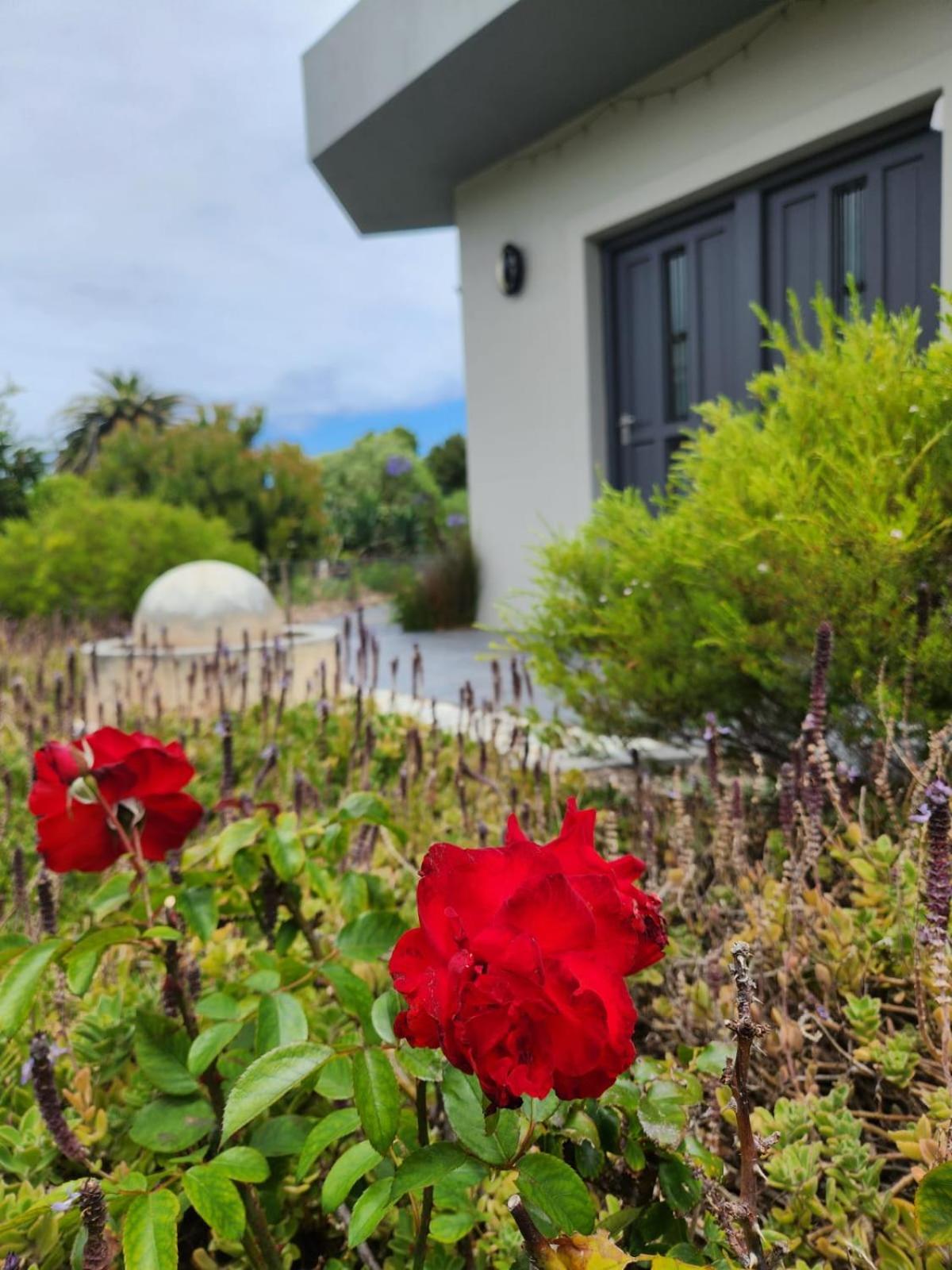 Moondust Near The Ocean, Food And Wine Villa Hermanus Dış mekan fotoğraf